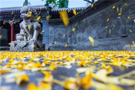 河北自考复习备考技巧