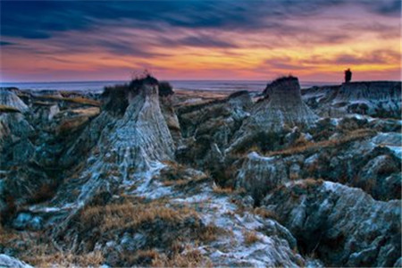 河北自考《电子备案表》或《学历认证报告》怎么申请?