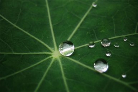 2020河北自考报名之自考的误解