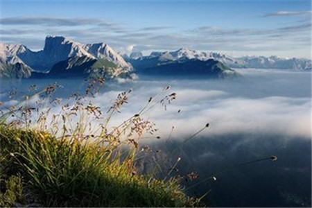 2020河北自考报名之什么是自考公共课？