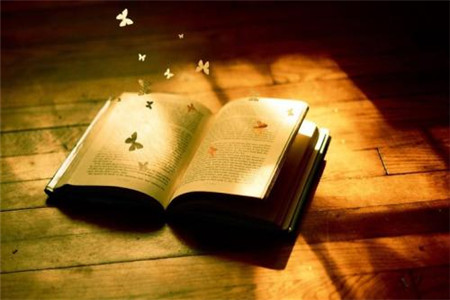 为什么无法申请河北自考本科学士学位?