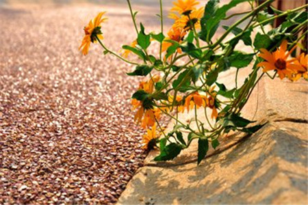 最新版河北自考解题思路,你看过吗?