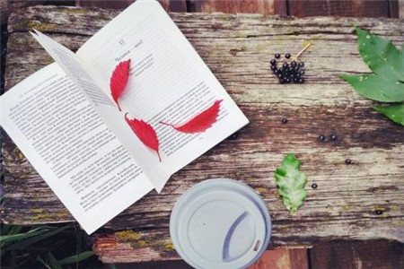 河北省自考这个误区,90%的考生都有!