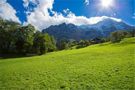 没有通过河北自考本科毕业论文答辩怎么办？