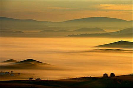 【自考新人】河北自考有哪些专业好考?