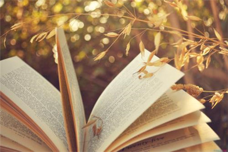 【自考新人】河北自考难度大不大?