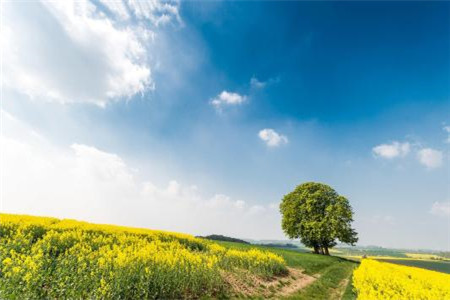 公司不承认河北自考文凭怎么办?