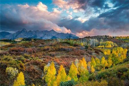 想考公务员的考生，河北自考应该选择哪个专业？