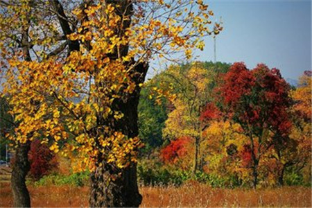 河北自考后的成绩可以转到外省去吗？