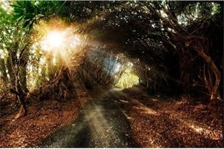 一次报考河北自考的门数有限制吗?