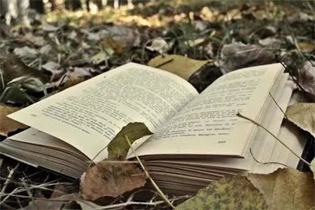 河北自学考试的物业管理专业你知道是做什么的吗?