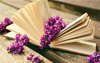 2020年上半年邢台自考免考条件是什么?