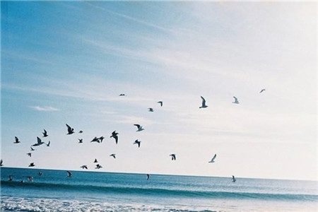 河北自考和其他学习方式的区别是什么?