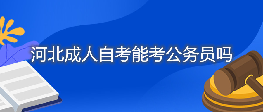 河北成人自考能考公务员吗